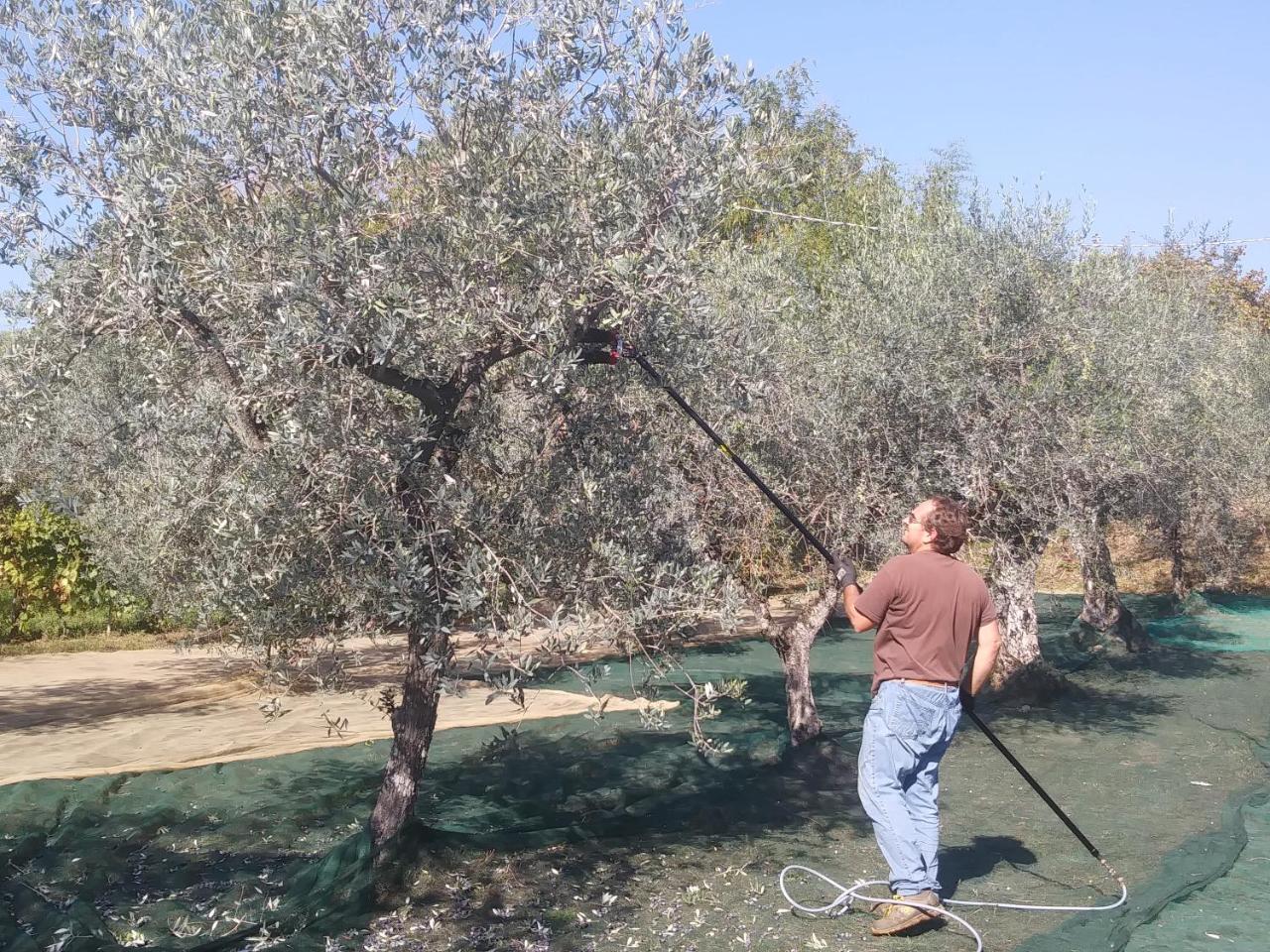 Ai Bastiani Villa Capannori Dış mekan fotoğraf